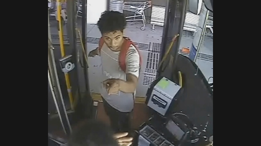 Cctv Captures Brisbane Bus Driver Being Punched Sbs News