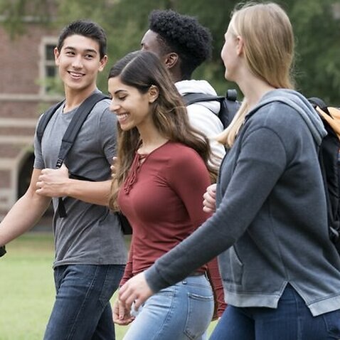 Diverse Group of University Students Walking on Campus