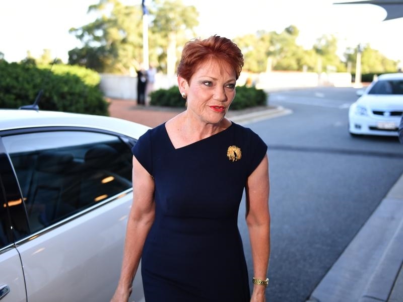 One Nation leader Senator Pauline Hanson