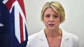 Sbs Language We Need To Listen To The Alarm Bells Kristina Keneally Lashes Immigration Wait Times