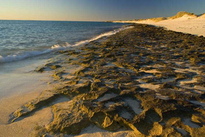 Water washes over exposed ledges of Ningaloo Reef at incoming tide.