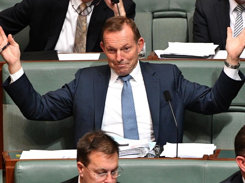 Howard Backs Abbott For Cabinet Position As Liberal Mps Tell Him