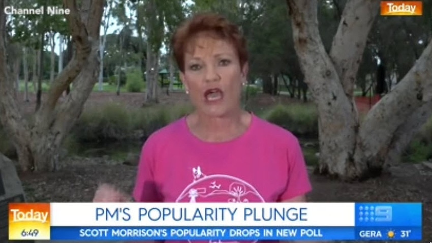 Image for read more article ''Let’s look at the pure facts': Pauline Hanson denies bushfires caused by climate change'