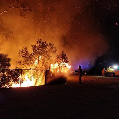 Firefighters battling a bushfire in Peregian Springs on the Sunshine Coast (AAP)