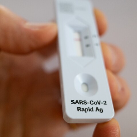 Rapid antigen tests are available in supermarkets and pharmacies across Australia