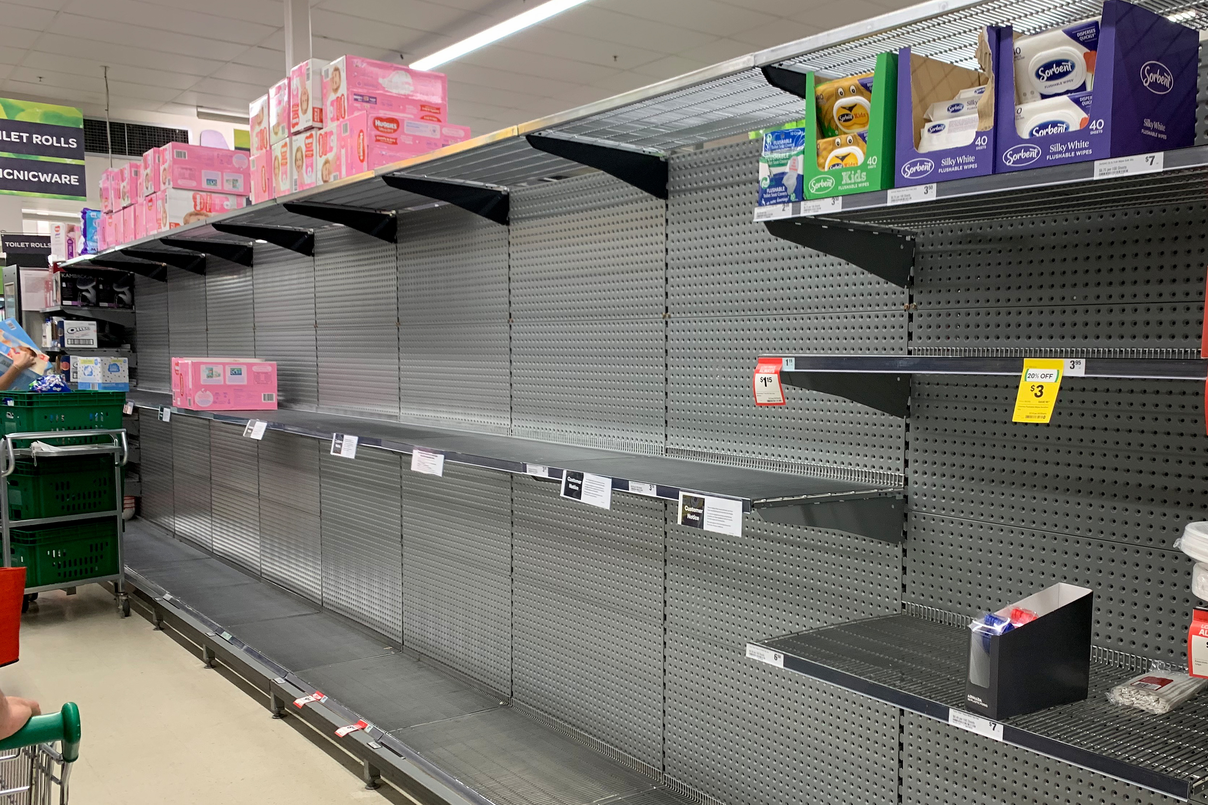 Empty shelves that were once stocked with toilet paper are seen in Balmain Woolworths, Sydney, Saturday, March 7, 2020