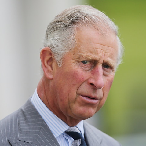 Charles, the Prince of Wales 