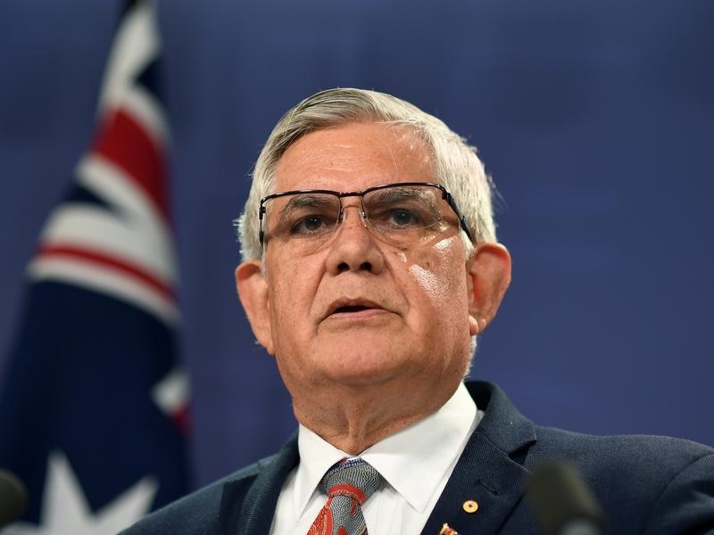 Indigenous Health Minister Ken Wyatt said the program is a legacy for future generations.
