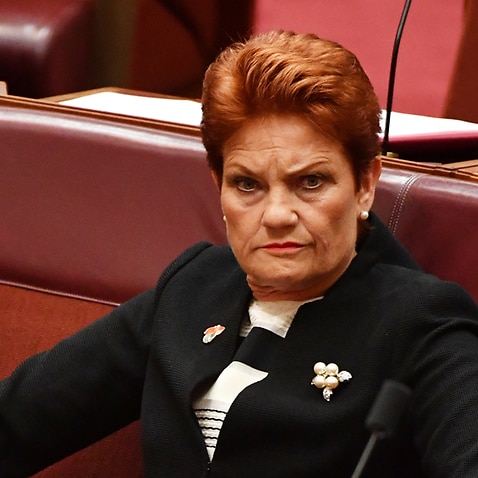 One Nation leader Senator Pauline Hanson