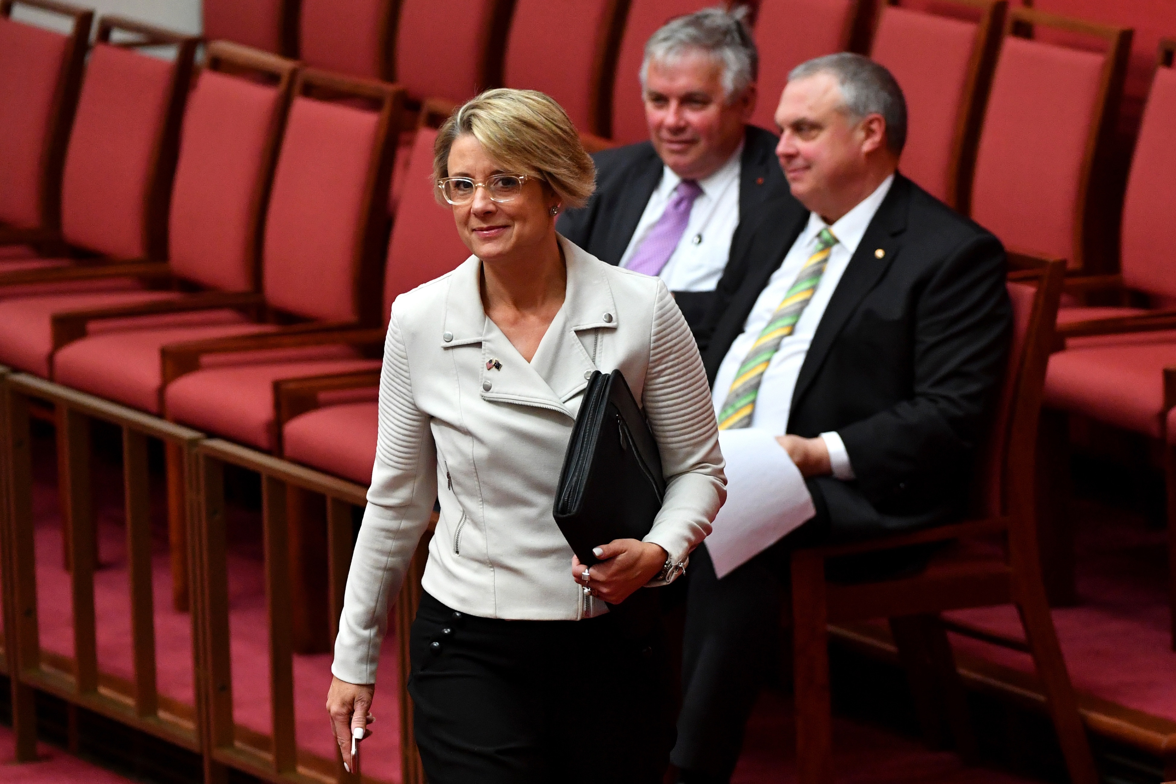 Labor Senator Kristina Keneally wants to shift the spotlight from asylum seekers arriving by boat to those landing on planes. 