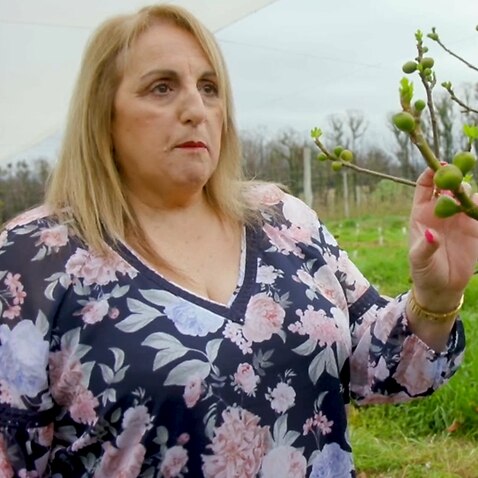Margaret Tadrosse on her pick-your-own fruit farm business at Bilpin in the Blue Mountains, Sydney.