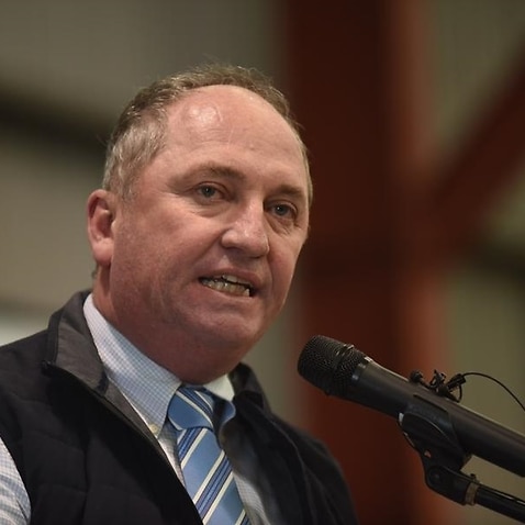 Coalition backbencher Barnaby Joyce