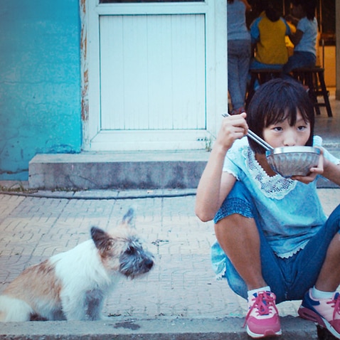 Child eating next to a dog