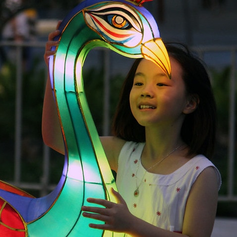 Festival goers during the Sydney Chinese New Year Lantern Festival Launch, Darling Harbour, Sydney, Friday, Jan. 20, 2017. 