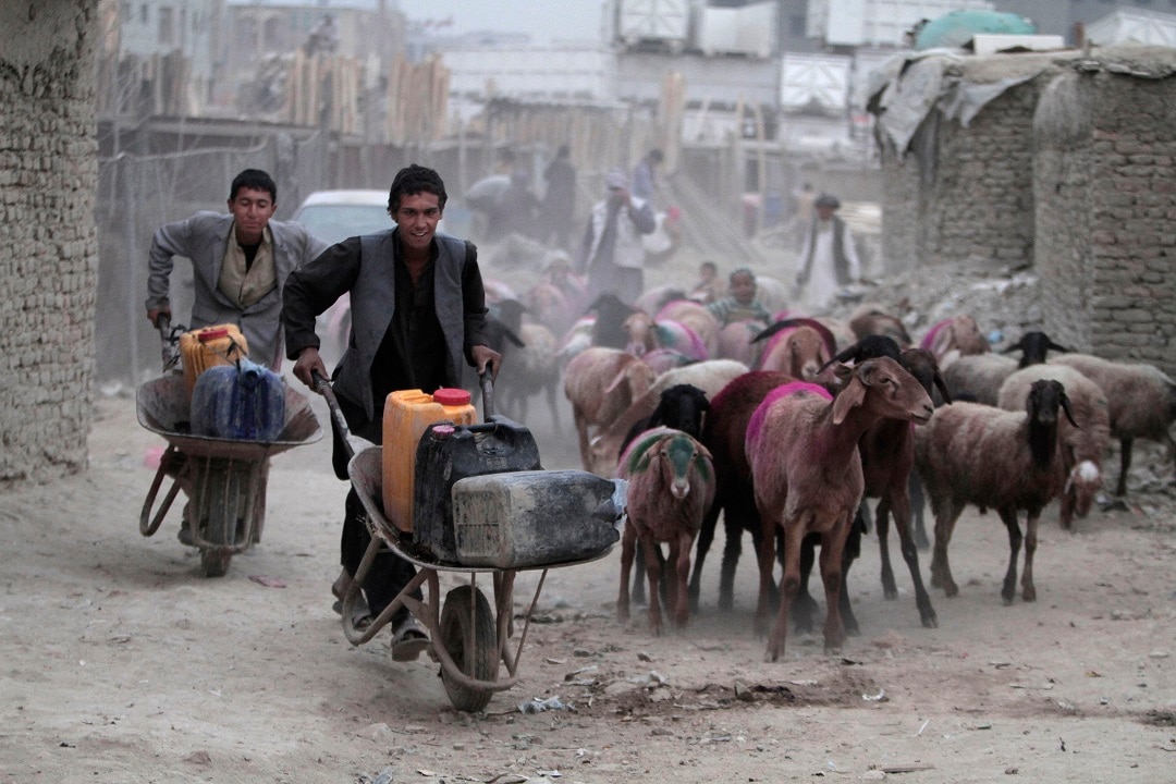 Afghan refugees push containers of water near their temporary homes on the outskirts of Kabul.