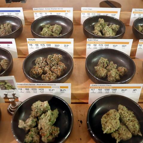  Cannabis samples on display at the Harborside cannabis dispensary in Oakland, California, USA, 01 January 2018. 