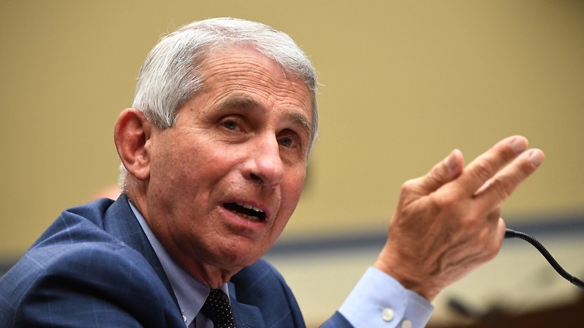 Image for read more article 'Anthony Fauci rejects Donald Trump's claims that US coronavirus deaths are 'far exaggerated''