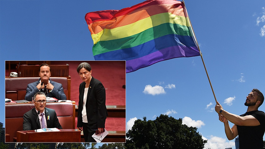 Sbs Language Historic Event Same Sex Marriage Bill Passes The Senate 8220