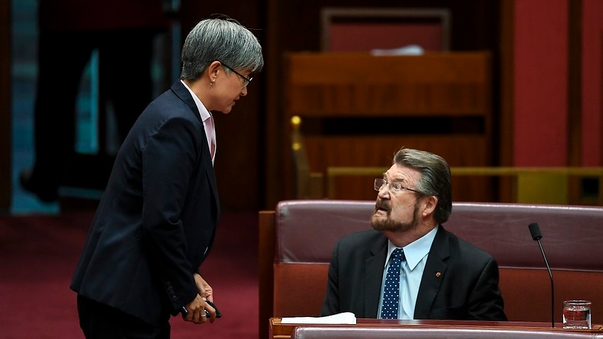 Image for read more article 'Medical transfers bill passes Senate after Hinch confirms support'