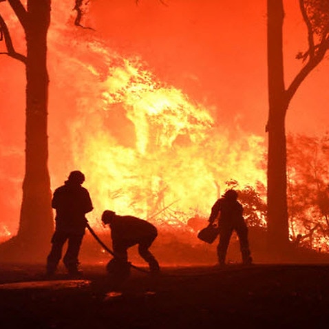 Gli incendi in Australia hanno bruciato un'area pari a quella di Piemonte e Lombardia 