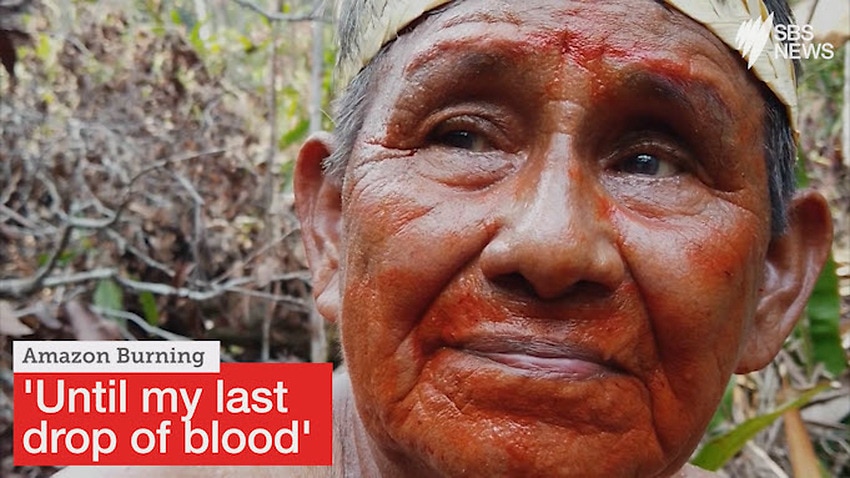 Image for read more article ''Until my last drop of blood' - Amazon tribe vows to protect sacred land'