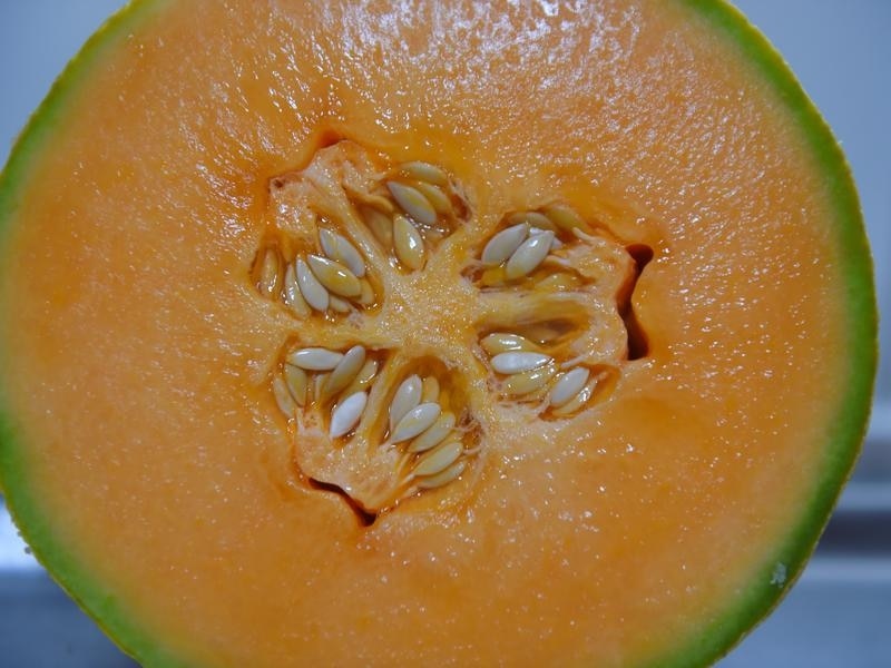 Over-60s warned not to eat rockmelon following deadly outbreak