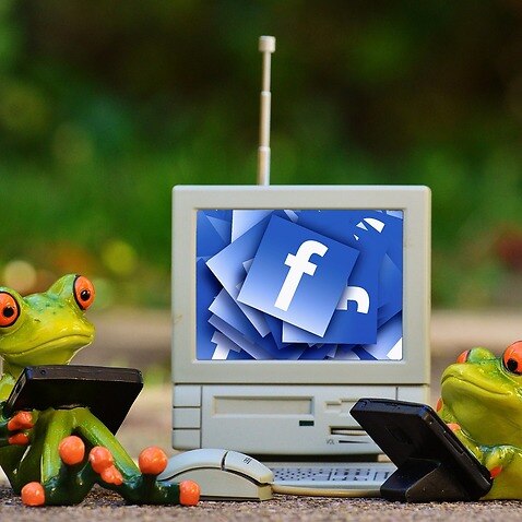 Image of cute cartoon frogs in front of a computer screen with facebook logo.