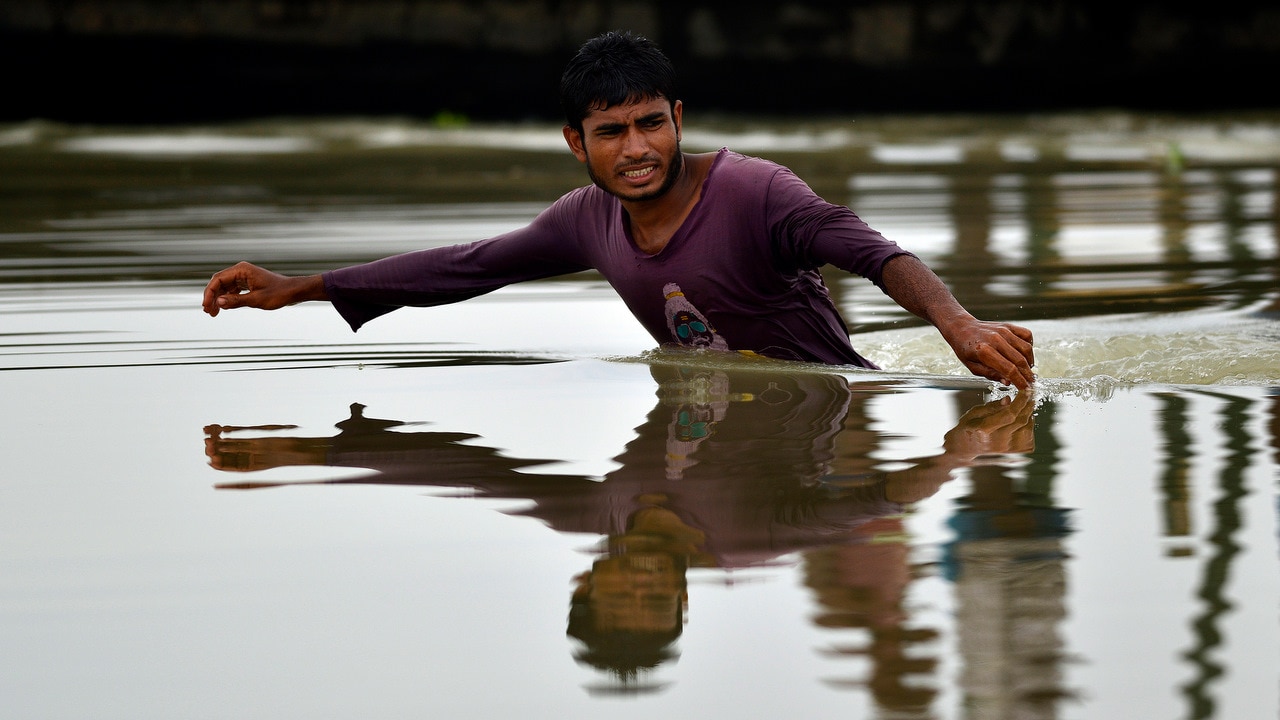 Dozens killed by floods in Nepal, India and Bangladesh