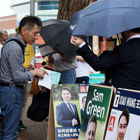 A voter was looking at the posters of candidates for Hurstville Ward in the election of Georges River council.