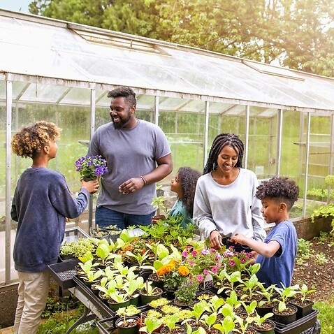 African-American family with three children working together at backyard plant nursery