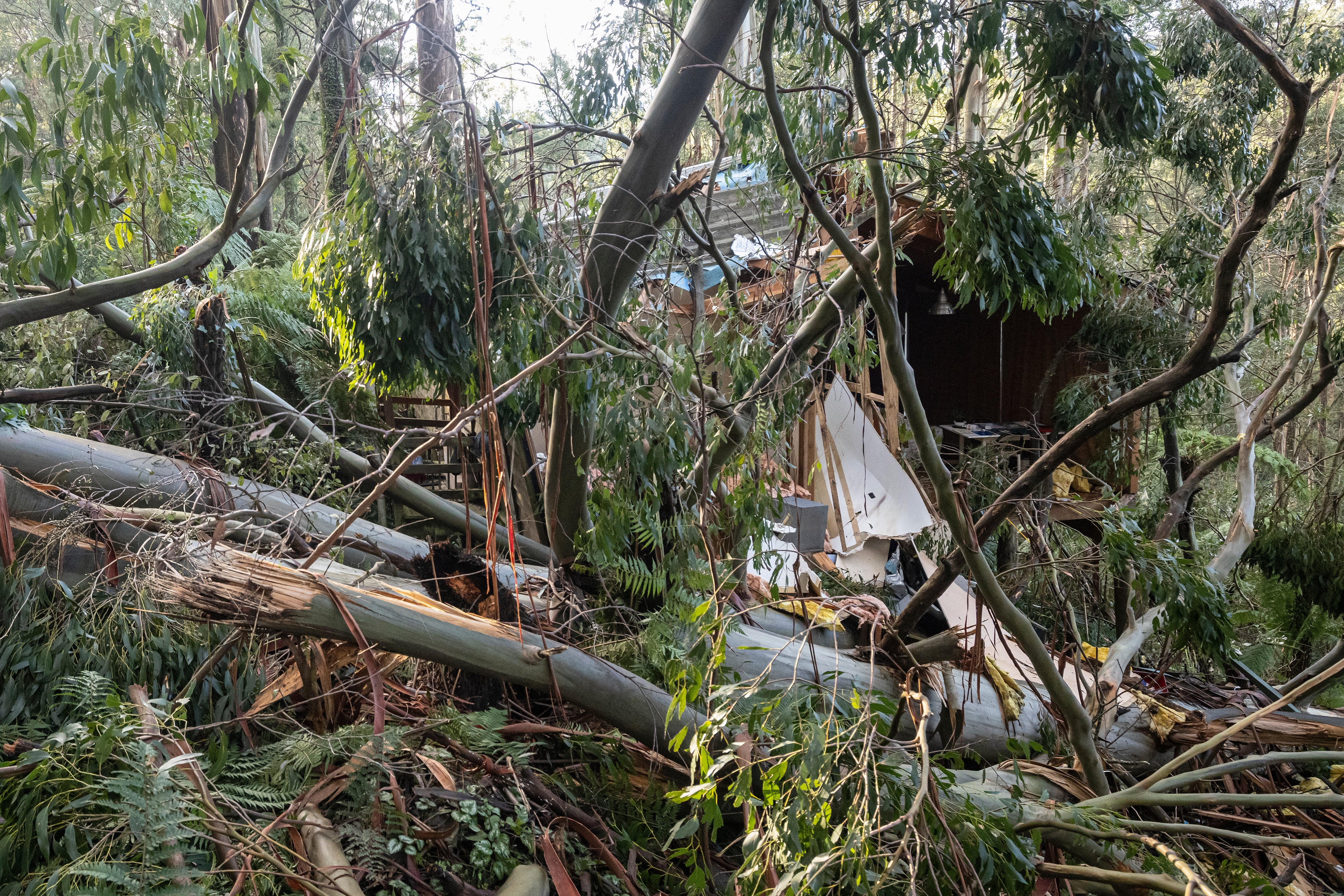 Thousands In Victoria Left Without Power After Wild Storms Eligible For New Weekly Payment