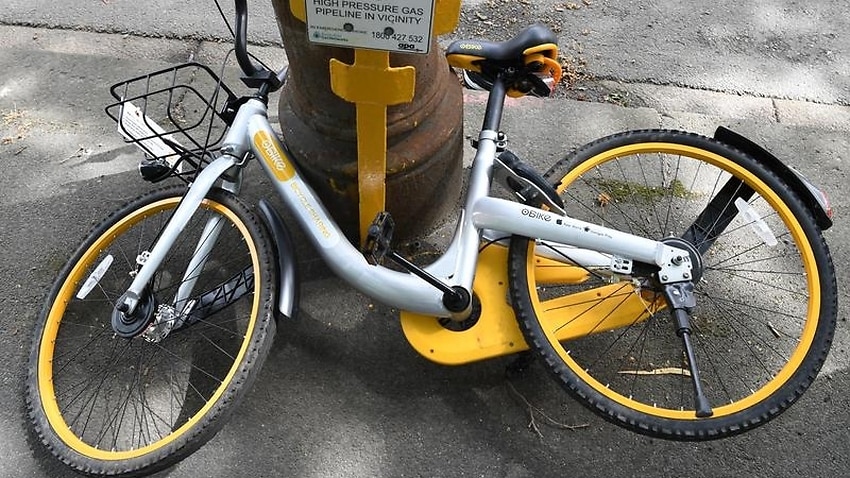 Image for read more article 'Share bikes impounded by Sydney council'