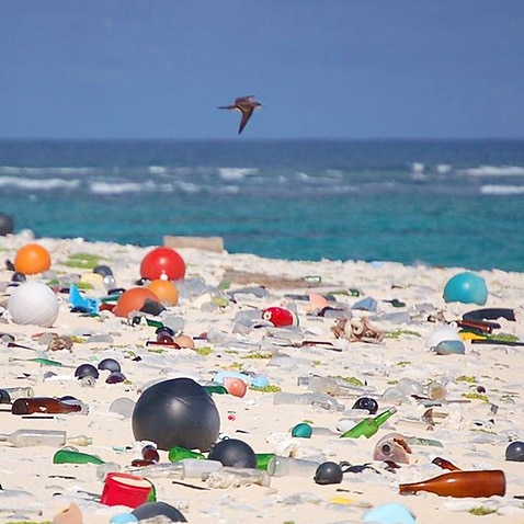 Marine debris litters a beach on Laysan Island in the Hawaiian Islands National Wildlife Refuge, where it washed ashore