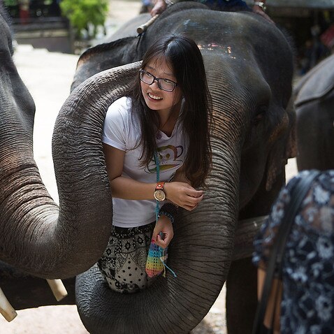 Thailand Waives Chinese Visa Fees In Attempt To Boost Tourism