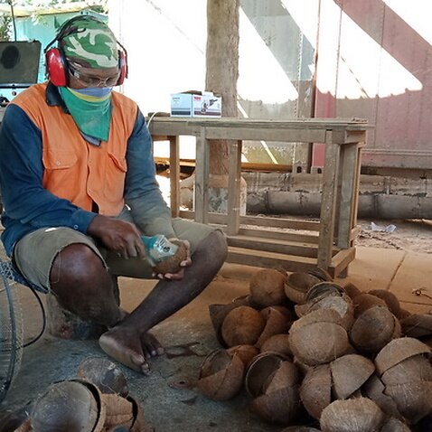 The humble coconut is bringing economic benefits to Solomon Islanders