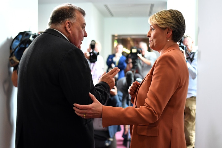 Liberal MP Craig Kelly and Labor's Tanya Plibersek argue in the Press Gallery at Parliament House.