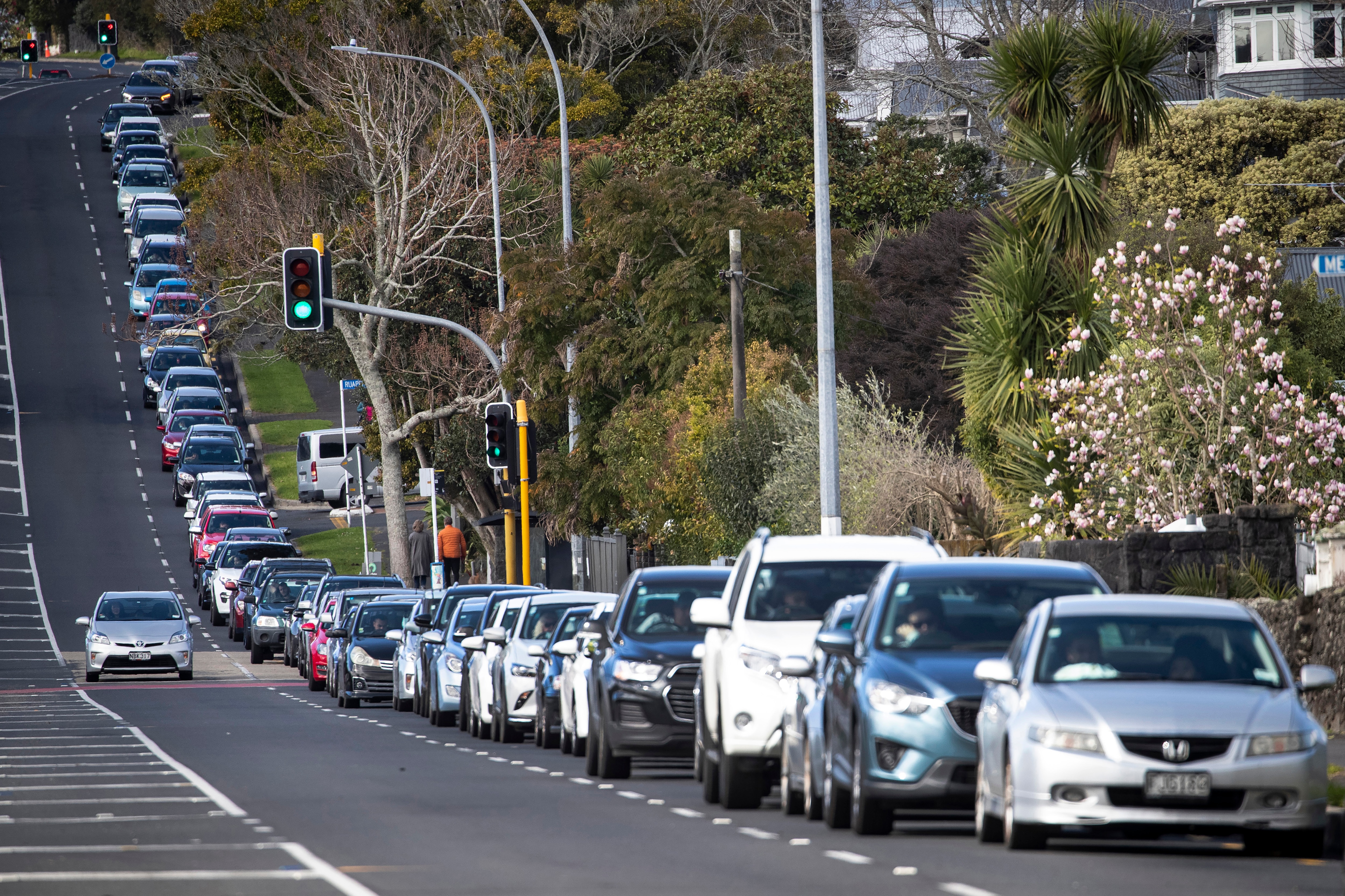 Vehicles line up for COVID-19 testing in Auckland, New Zealand, Thursday, 19 August, 2021. 
