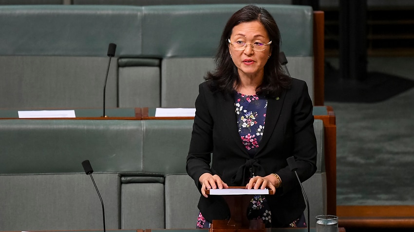 Image for read more article 'Gladys Liu admits community divide over government’s handling of China relationship'