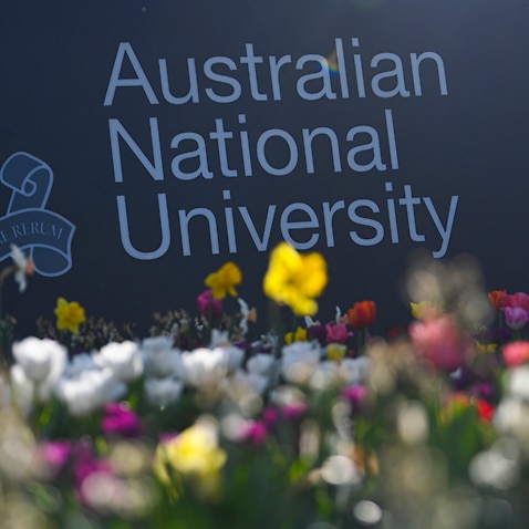 The Australian National University (ANU) says COVID-19 will force it to shed hundreds of jobs from its workforce. 