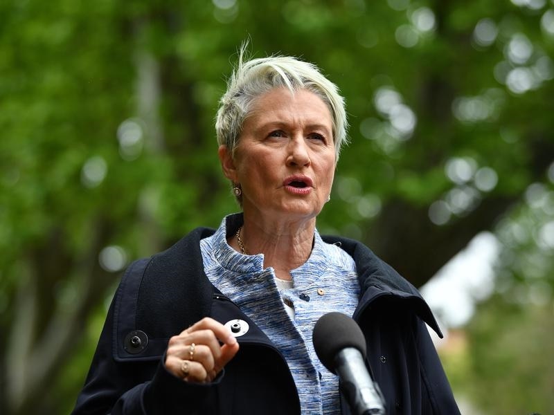 Kerryn Phelps is ahead in the polls for Wentworth.