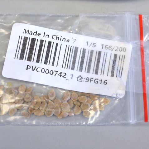 A package of mystery seeds sent to an American resident.