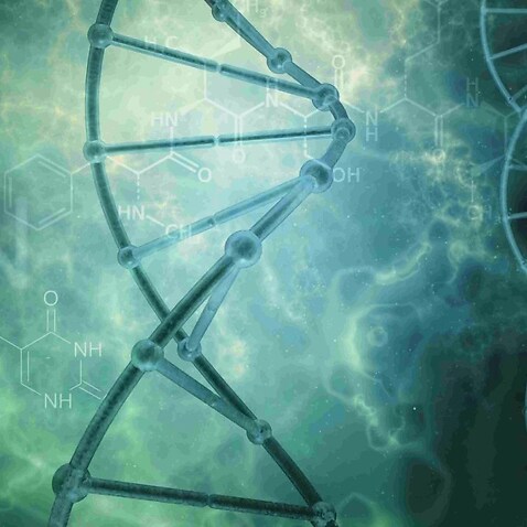 Medicine’s Big Breakthrough: Editing Your Genes DNA