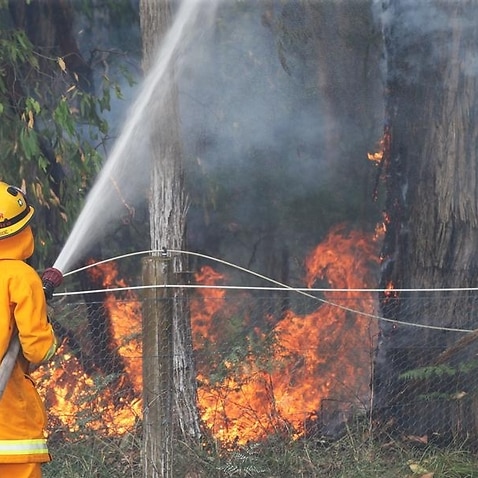 Firefighters battle a bushfire east of Melbourne