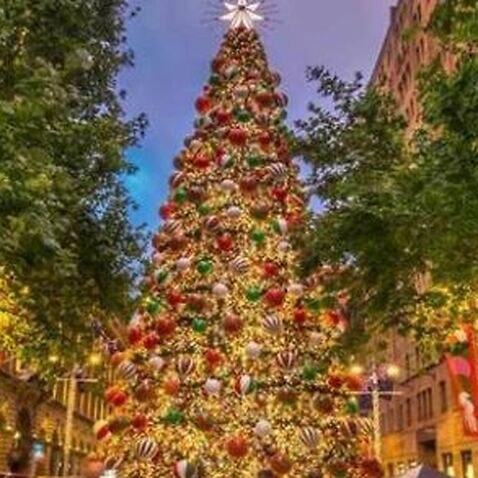 Martin Place Christmas tree