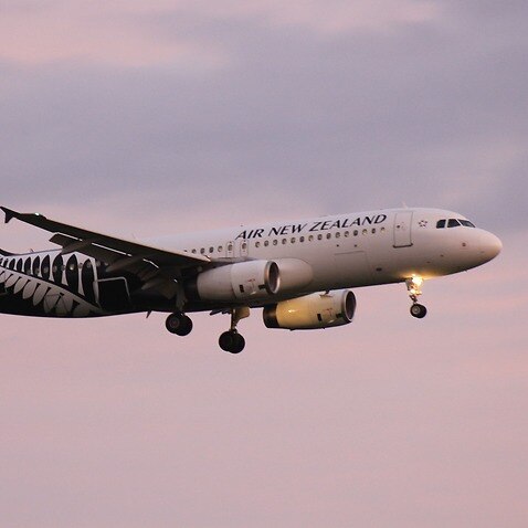 New Zealand's national carrier axed more than 1,000 flights across the Tasman through to 31 December.