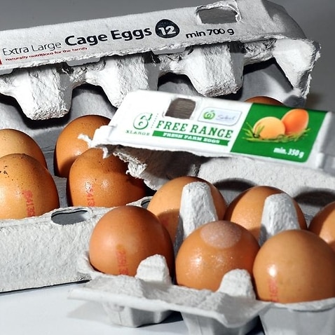 A file stock image of eggs inside cartons in Canberra.
