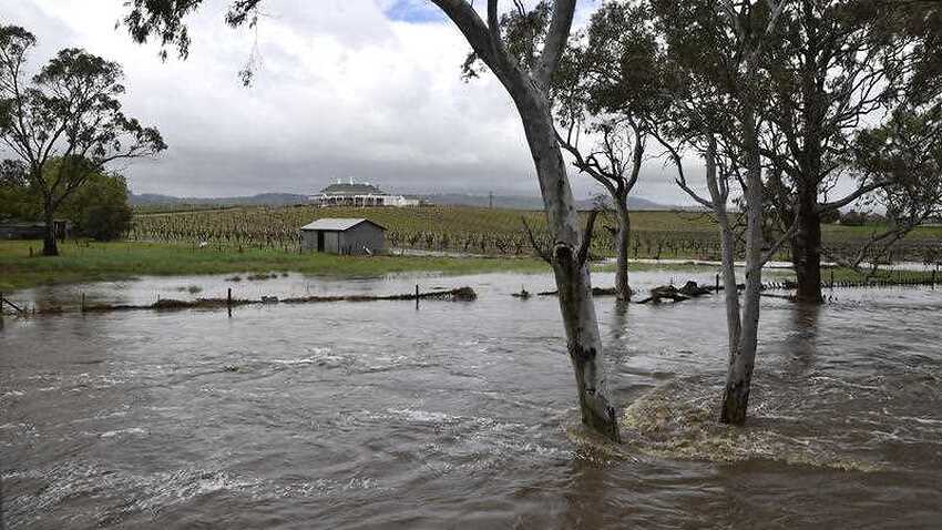 More Rain Falls In Sa Flooded Towns Sbs News 1773