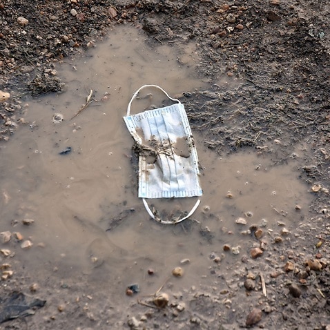 Discarded face mask lies on the ground.According to data