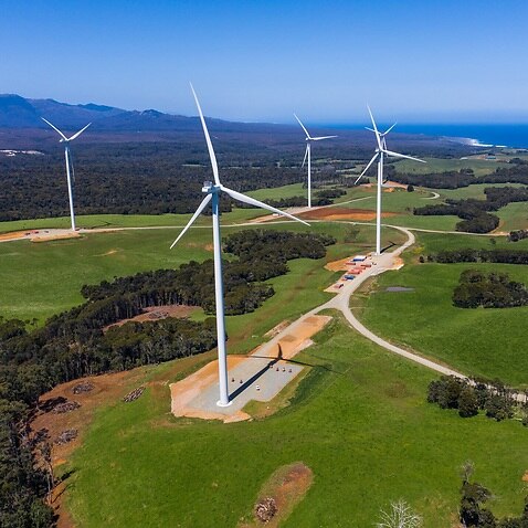 A wind farm in Tasmania 