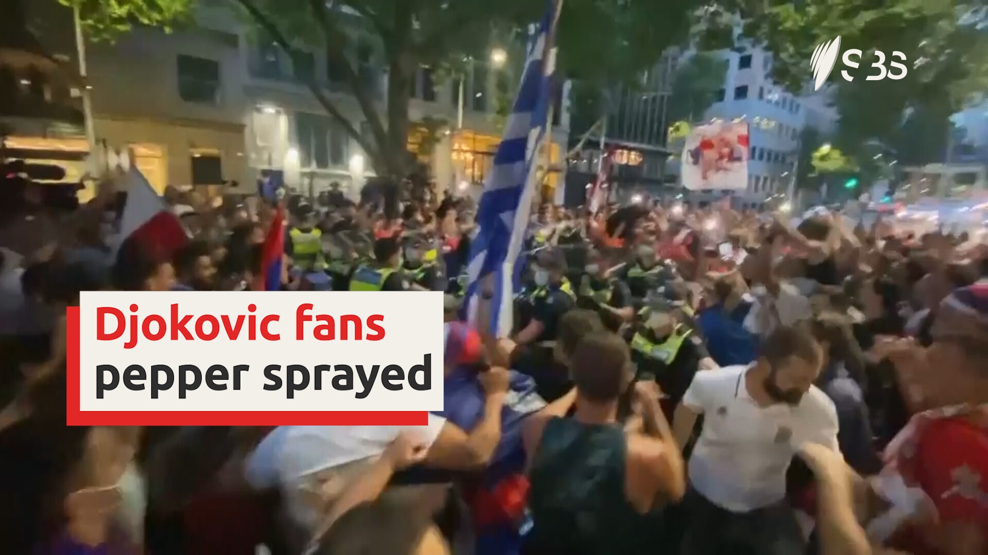 Police pepper spray Djokovic supporters following release